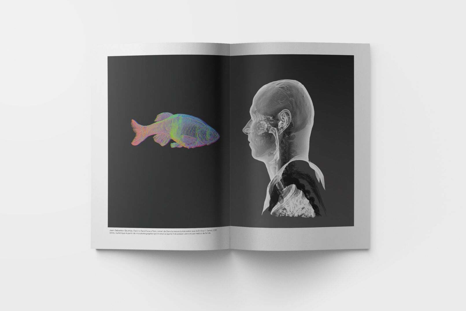 pages layout of Relier book